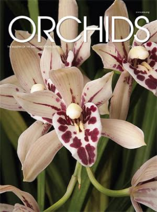 Picture of 2016/05 May ORCHIDS Magazine