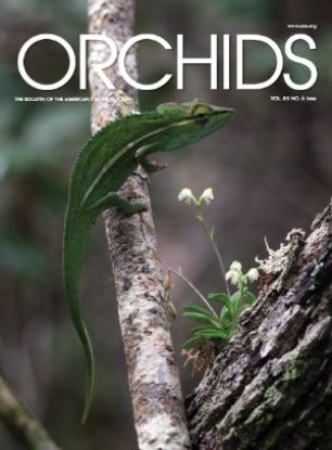 Picture of 2016/06 June ORCHIDS Magazine