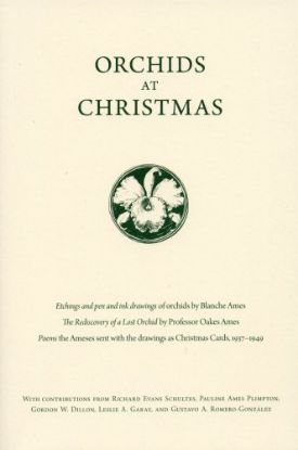 Picture of Orchids at Christmas