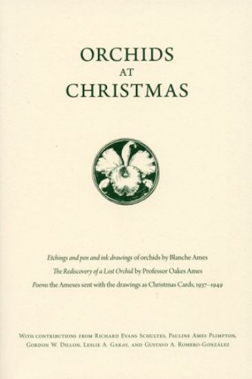 Picture of Orchids at Christmas