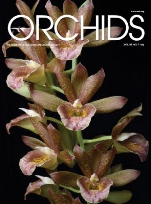 Picture of 2016/07 July ORCHIDS Magazine
