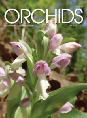 Picture of 2016/08 August ORCHIDS Magazine