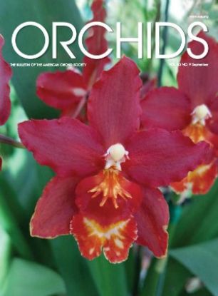 Picture of 2016/09 September ORCHIDS Magazine