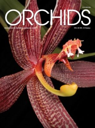 Picture of 2016/10 October ORCHIDS Magazine