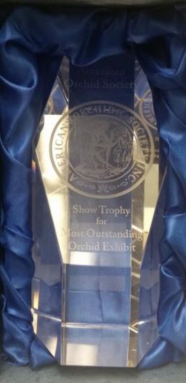 Picture of Show Trophy Payment