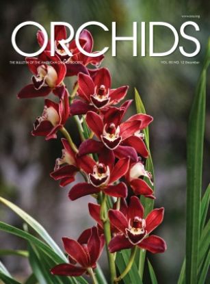 Picture of 2016/12 December ORCHIDS Magazine