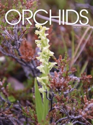 Picture of 2017/01 January ORCHIDS Magazine
