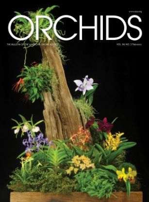 Picture of 2017/02 February ORCHIDS Magazine
