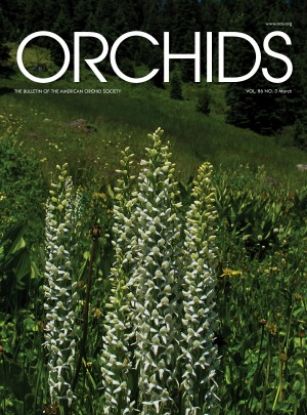 Picture of 2017/03 March ORCHIDS Magazine