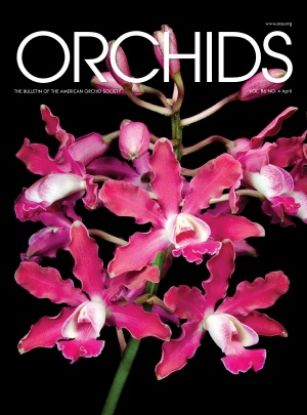 Picture of 2017/04 April ORCHIDS Magazine