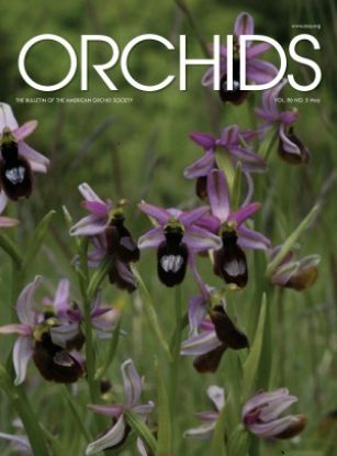 Picture of 2017/05 May ORCHIDS Magazine