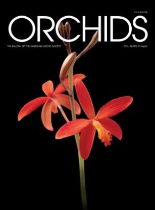 Picture of 2017/08 August ORCHIDS Magazine