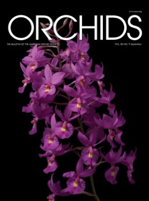 Picture of 2017/09 September ORCHIDS Magazine