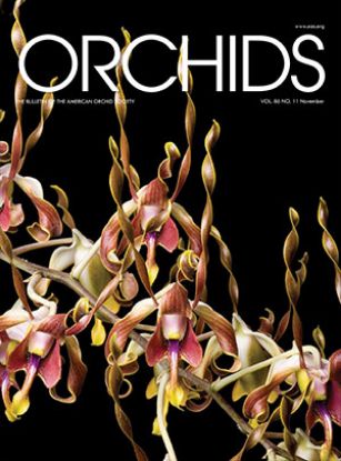 Picture of 2017/11 November ORCHIDS Magazine