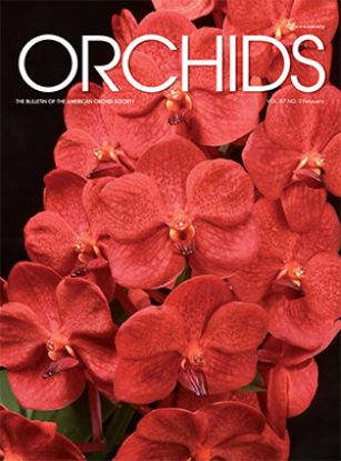 Picture of 2018/02 February ORCHIDS Magazine