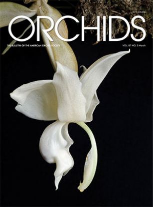 Picture of 2018/03 March ORCHIDS Magazine
