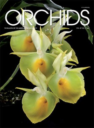 Picture of 2018/04 April ORCHIDS Magazine
