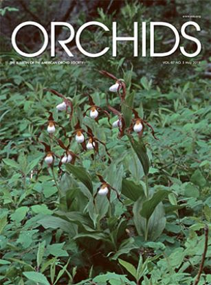 Picture of 2018/05 May ORCHIDS Magazine