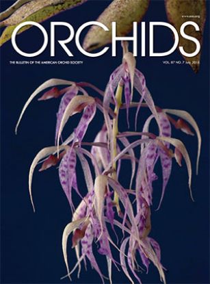 Picture of 2018/07 July ORCHIDS Magazine