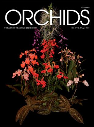Picture of 2018/08 August ORCHIDS Magazine