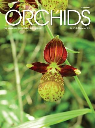 Picture of 2018/09 September ORCHIDS Magazine
