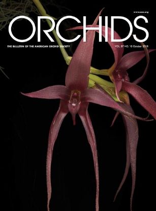 Picture of 2018/10 October ORCHIDS Magazine
