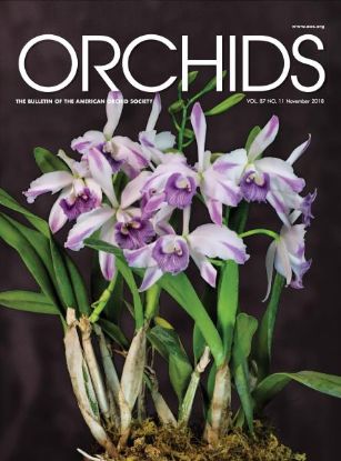 Picture of 2018/11 November ORCHIDS Magazine