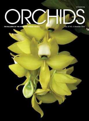 Picture of 2018/12 December ORCHIDS Magazine