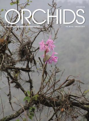 Picture of 2019/01 January ORCHIDS Magazine