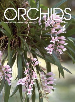 Picture of 2019/03 March ORCHIDS Magazine