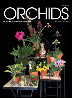 Picture of 2019/04 April ORCHIDS Magazine