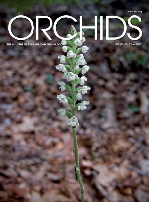 Picture of 2019/05 May ORCHIDS Magazine