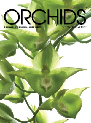 Picture of 2019/06 June ORCHIDS Magazine