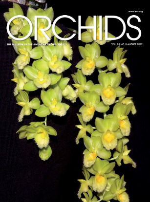 Picture of 2019/08 August ORCHIDS Magazine