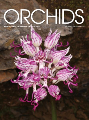 Picture of 2019/09 September ORCHIDS Magazine