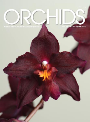 Picture of 2019/10 October ORCHIDS Magazine