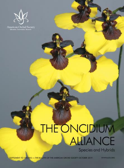 Picture of 2019/10 Oncidium Alliance Supplement