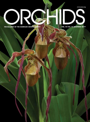 Picture of 2019/12 December ORCHIDS Magazine