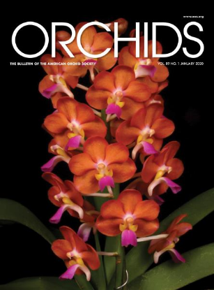 Picture of 2020/01 January ORCHIDS Magazine
