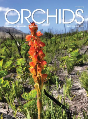 Picture of 2020/03 March ORCHIDS Magazine