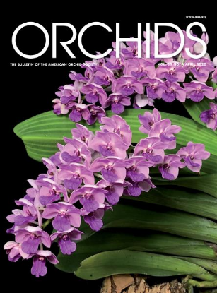 Picture of 2020/04 April ORCHIDS Magazine