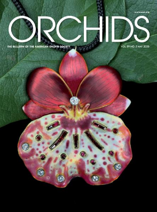 Picture of 2020/05 May ORCHIDS Magazine