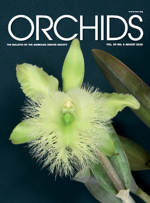 Picture of 2020/08 August ORCHIDS Magazine