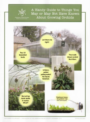 Picture of 2015/11 A Handy Guide to Things You May or May Not Have Known About Growing Orchids Supplement - Office Only