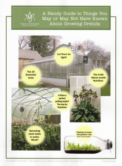 Picture of 2015/11 A Handy Guide to Things You May or May Not Have Known About Growing Orchids Supplement - Office Only