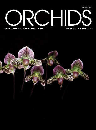 Picture of 2020/10 October ORCHIDS Magazine