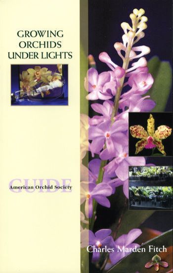 Picture of Growing Orchids Under Lights - UPDATED New Member Special