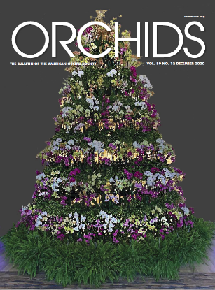 Picture of 2020/12 December ORCHIDS Magazine