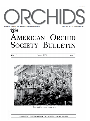 Picture of 2021/02 February ORCHIDS Magazine