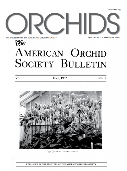 Picture of 2021/02 February ORCHIDS Magazine